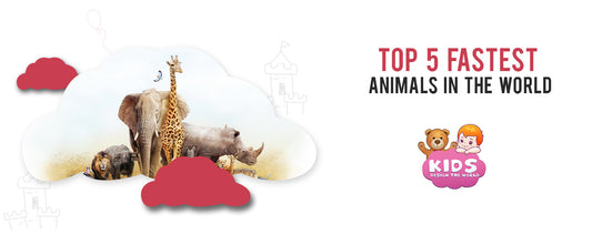Top-5-fastest-animals-in-the-world