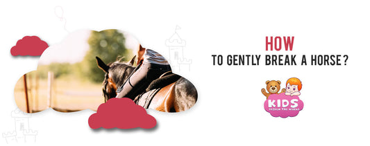 how-to-gently-break-a-horse