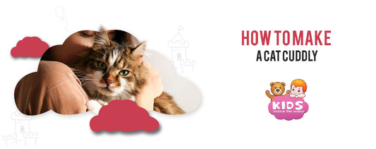 how-to-make-a-cat-cuddly