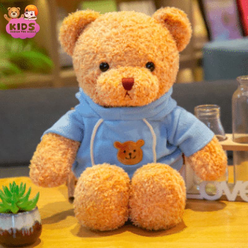 teddy-bear-with-sweater-blue
